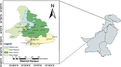 Seroprevalence and molecular detection of brucellosis among Pakistani women with spontaneous abortion